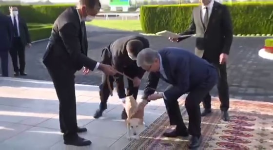 Фото: Кадр из видео