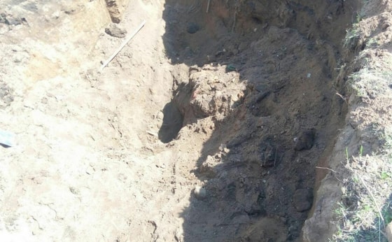 Фото: Ситуативное / Sputnik