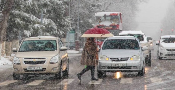 Фото: autostrada.uz