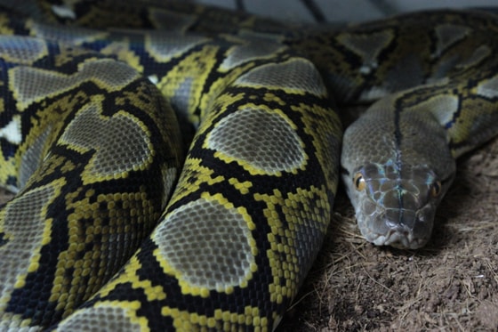 Фото: Getty Images