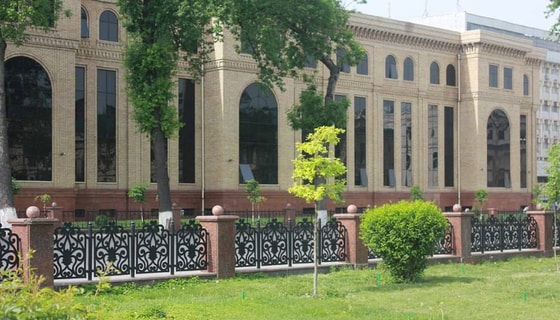 Фото: Открытые источники