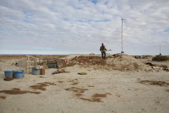 Фото: ПРООН