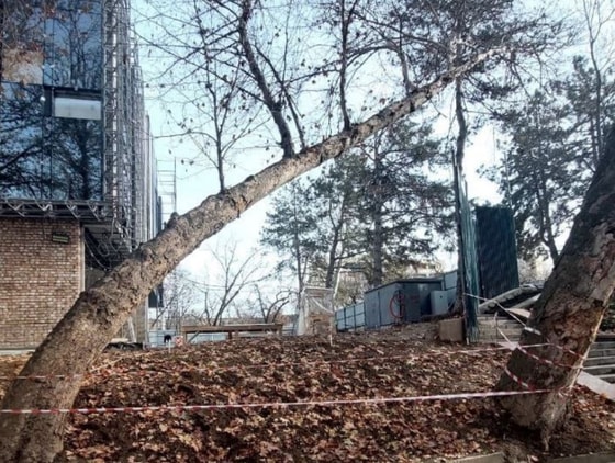 Фото: Управление экологии Ташкента