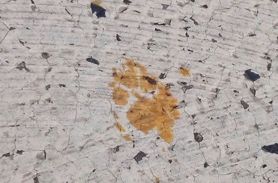 Фото:&nbsp;nomuramekki.com