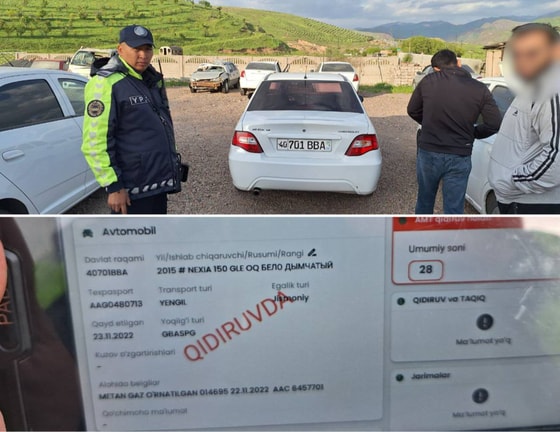 Фото: СБДД МВД