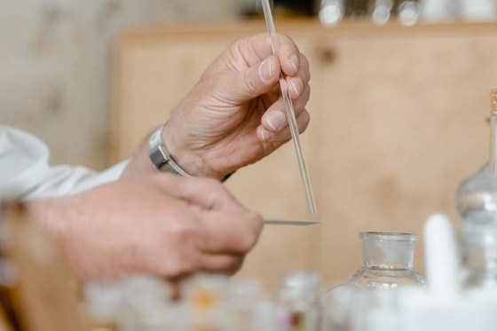 Фото: Открытые источники