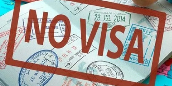 Фото:&nbsp;Яндекс.Новости