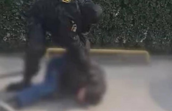 Кадр из видео