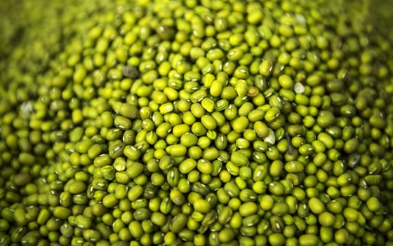 Фото:&nbsp;Sputnik / Владимир Песня