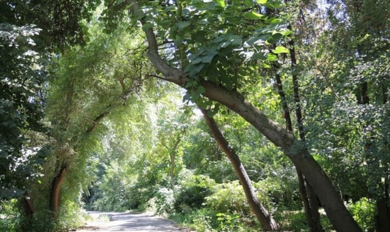 Фото: Открытые источники