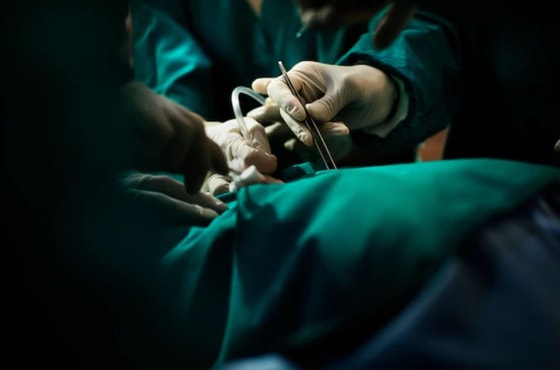 Ситуативное фото / Freepik