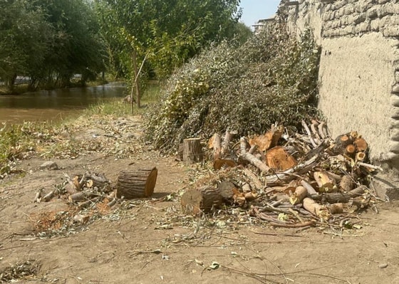 Фото: Генпрокуратура&nbsp;