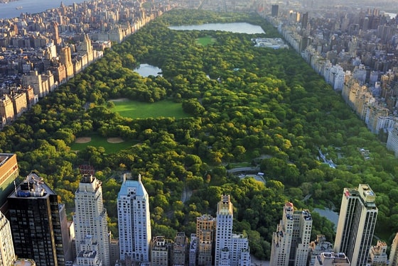 Фото: Открытые источники