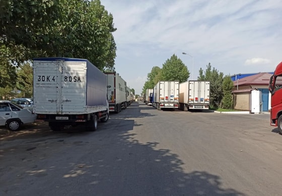 Фото: Открытые источники