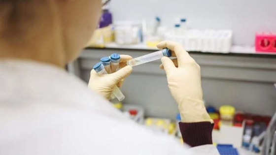 Фото:&nbsp;topspb.tv