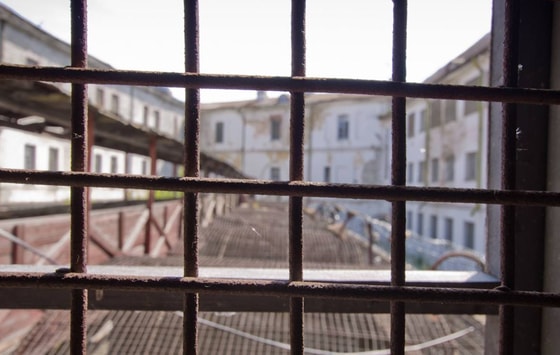 Фото: Открытые источники