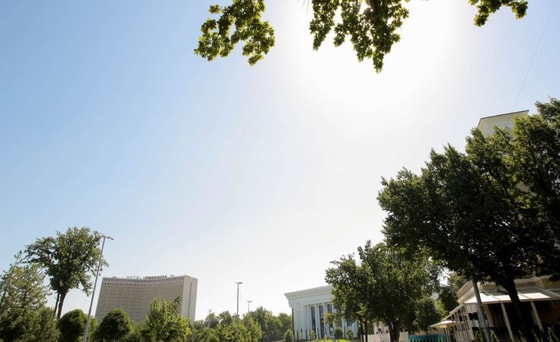 Фото: Repost&nbsp;