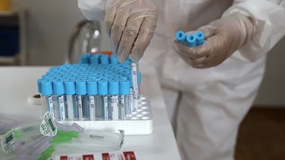 Фото: РИА Новости / Виталий Тимкив