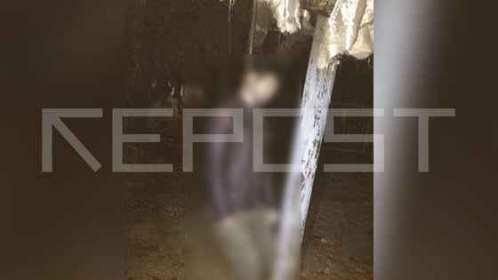 Фото: Repost&nbsp;