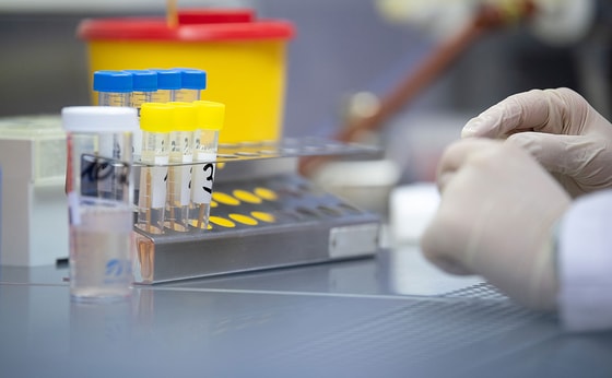 Фото: ИноСМИ