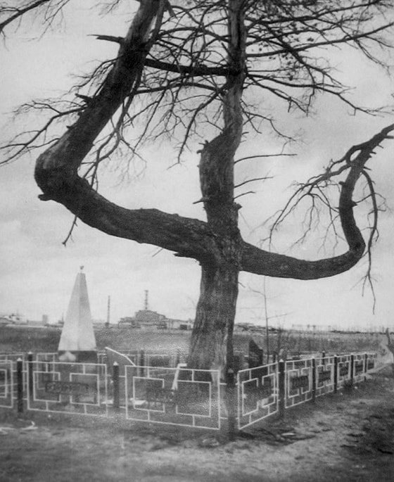 "O'lim qarag'ayi" - Chernobildagi eng mashhur joylardan biri. Ikkinchi Jahon urushi vaqtida nemislar bu daraxtga partizanlarni osib qatl etgan, shundan so'ng partizanlar nemis bosqinchilarini osib o'ldirgan