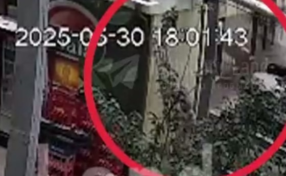 Кадр из видео