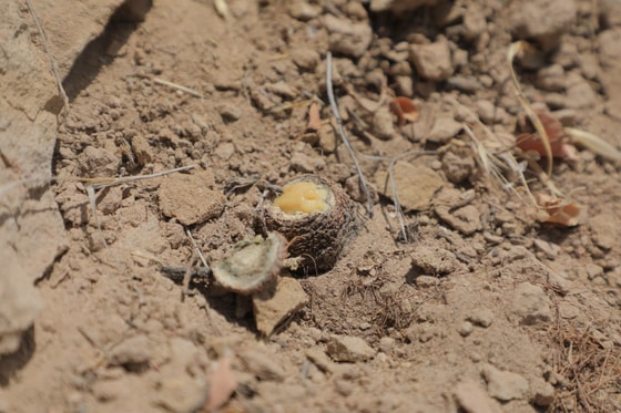 Фото: Минэкологии