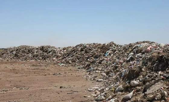 Фото: Открытые источники