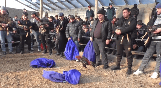 Кадр из видео