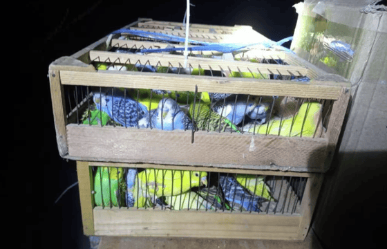 Фото: Sputnik Кыргызстан