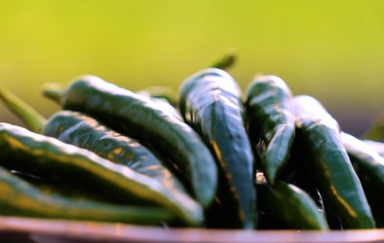 Фото: Минсельхоз