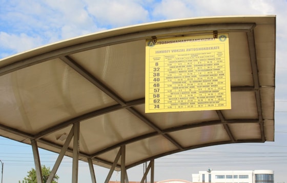 Ситуативное фото / Sputnik