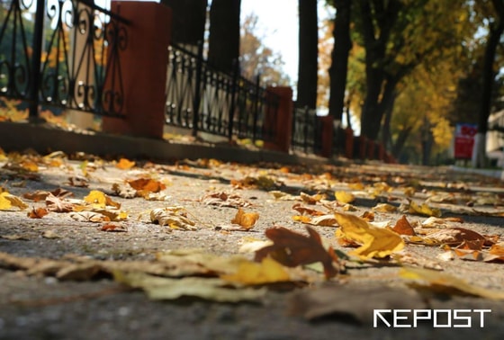 Фото: Repost.uz