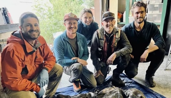 Фото: Prof Dan Shugar