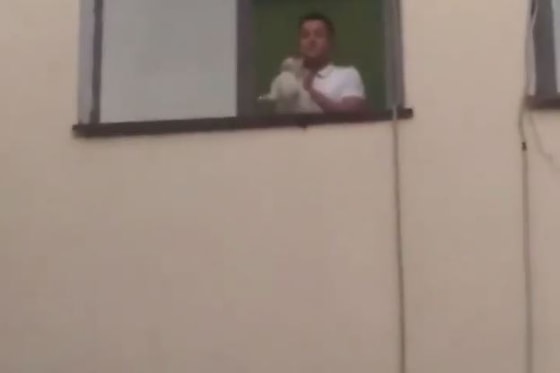 Кадр из видео