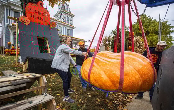 G'arbiy Virjiniya shtatida 489 kg og'irlikdagi qovoq yetishtirildiFoto: AP