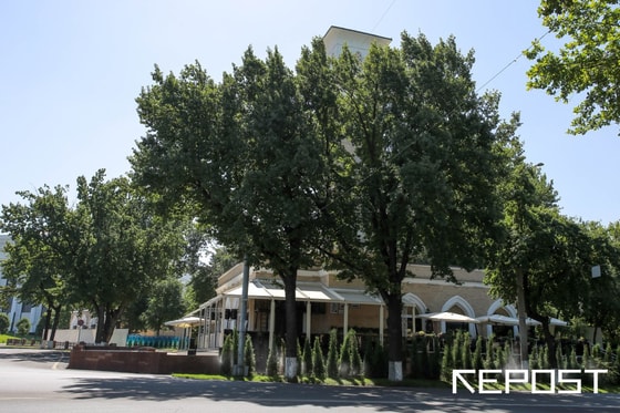 Фото: Repost.uz