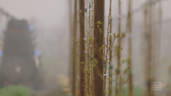 Фото: пресс-служба Минсельхоза