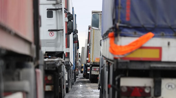 Ситуативное фото / Freepik