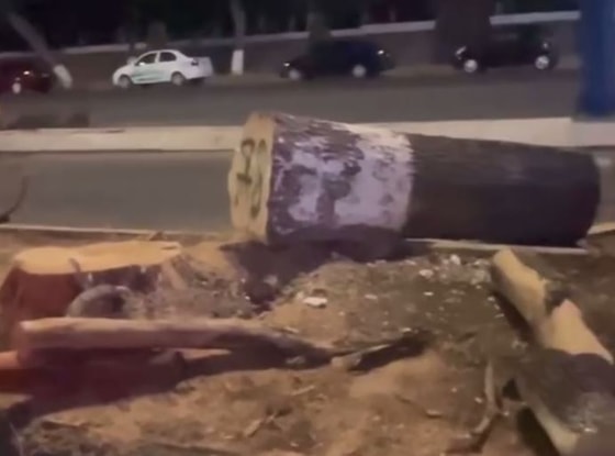 Кадр из видео