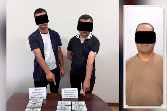 Кадр из видео