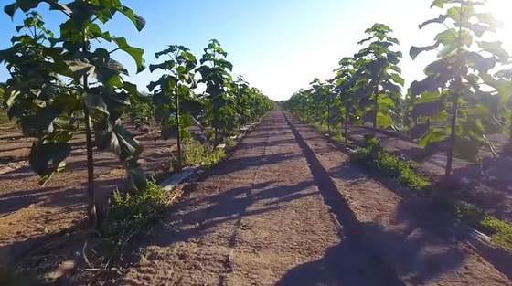 Фото: Экотехника