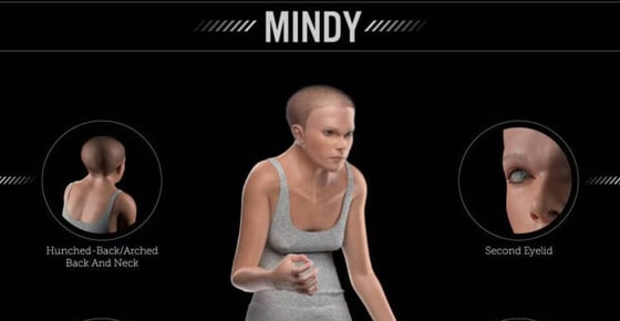 Фото: Playground