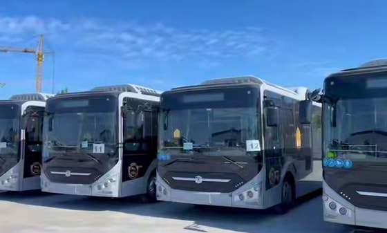 Кадр из видео