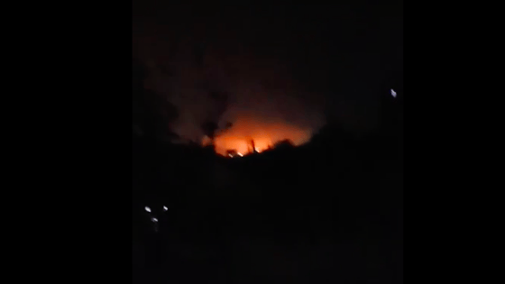 Кадр из видео