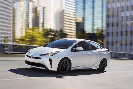 Фото: Чемпионат