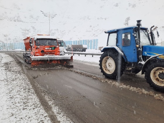 Фото: ГУБДД