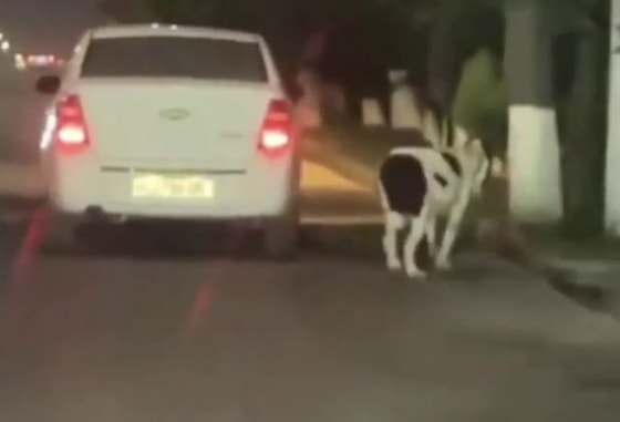 Кадр из видео