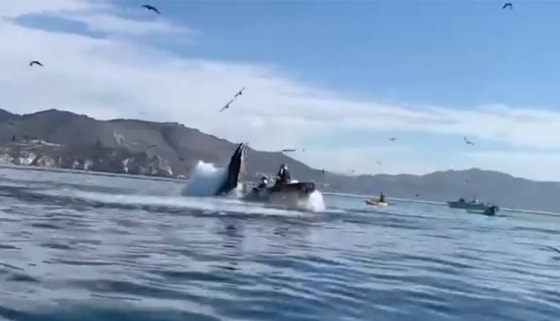 Кадр из видео