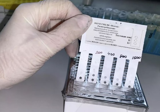 Фото: РИА Новости